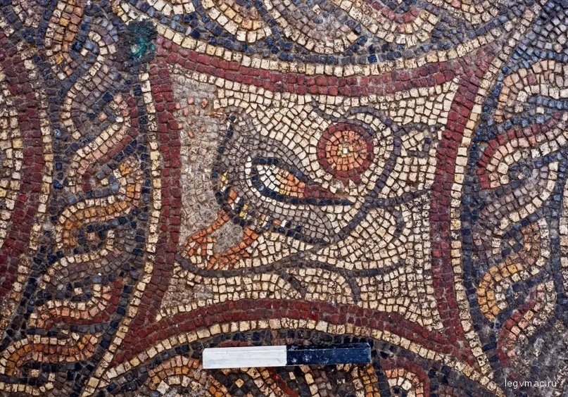 A depiction of a bird in the newly discovered Lod mosaic. (photo credit: ASSAF PEREZ/ISRAEL ANTIQUITIES AUTHORITY)