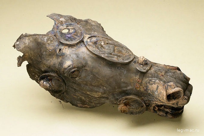 Позолоченная конская голова, найденная в поселении Вальдгиртес