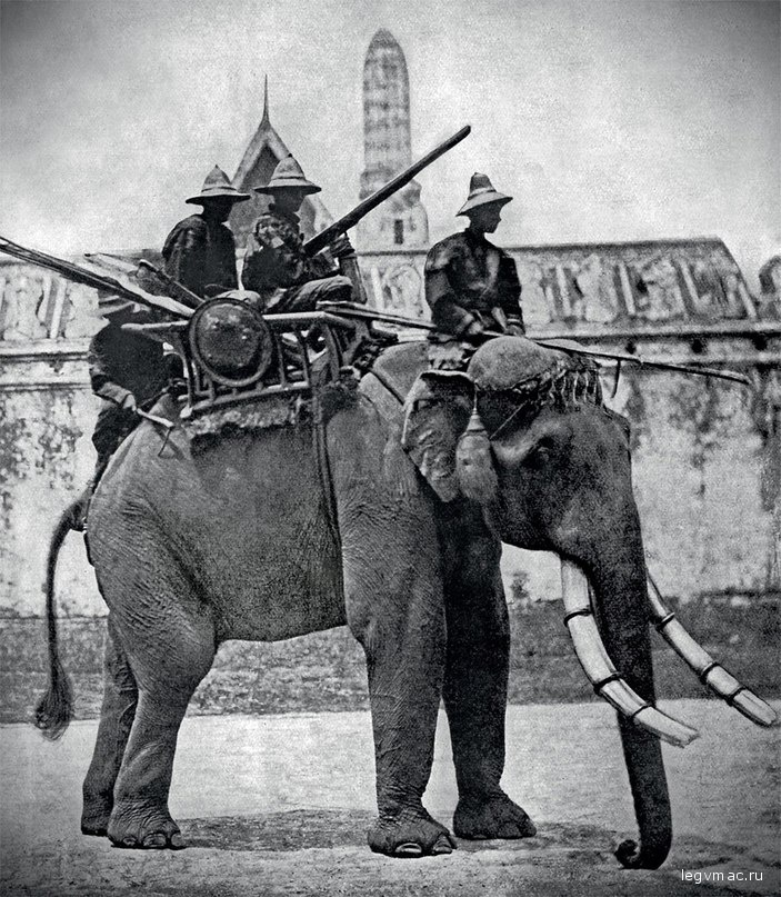 Боевой слон армии сиамского короля Рамы IV. Фотография 1860-х годов. Фото: PICTURES FROM HISTORY/CPA MEDIA