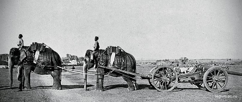 Караван слонов перевозит орудия Британской Индийской армии. Полутоновой оттиск, 1900 год
