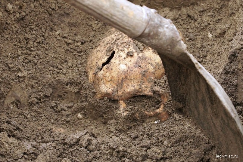 В Виминациуме не впервые находят римские захоронения. На фото раскопки 2016 года.