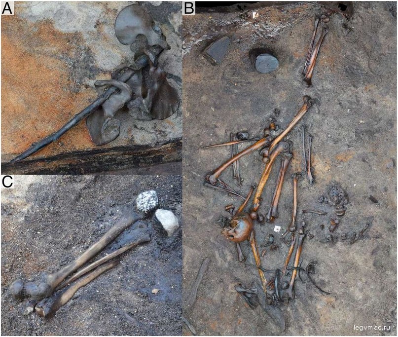 Examples of structured find situations. (A) Four ossa coxae threaded onto a stick. (B) Lower limbs from two individuals together with further disarticulated remains. Reprinted with permission from ref. 24, with permission from Elsevier. (C) Find assemblages of femur, tibia and fibula, and two small stones. Photos courtesy of P.J.