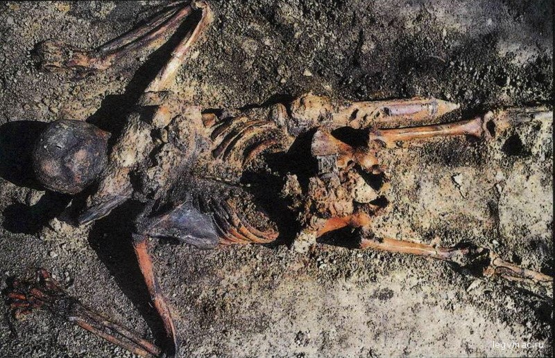 Скелет римского солдата, ставшего жертвой извержения Везувия в 79 году н.э.