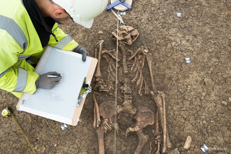 Найденный скелет без ног
Фото: Mola Headland Infrastructure