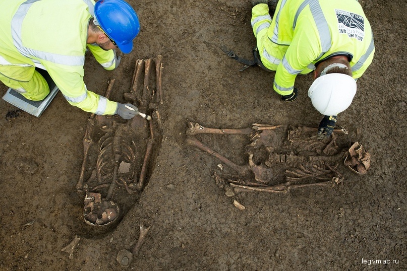 Найденные скелеты без ног
Фото: Mola Headland Infrastructure