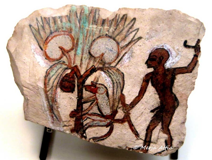 Как видно из этого остракона (глиняный черепок) из Дейр-эль-Медины, бабуины и другие обезьяны были обучены собирать фрукты. Но не все ученые согласны с этой оценкой. Рамсайдский период. Музей Лувр, Париж. Выставка «Животные и фараоны».
