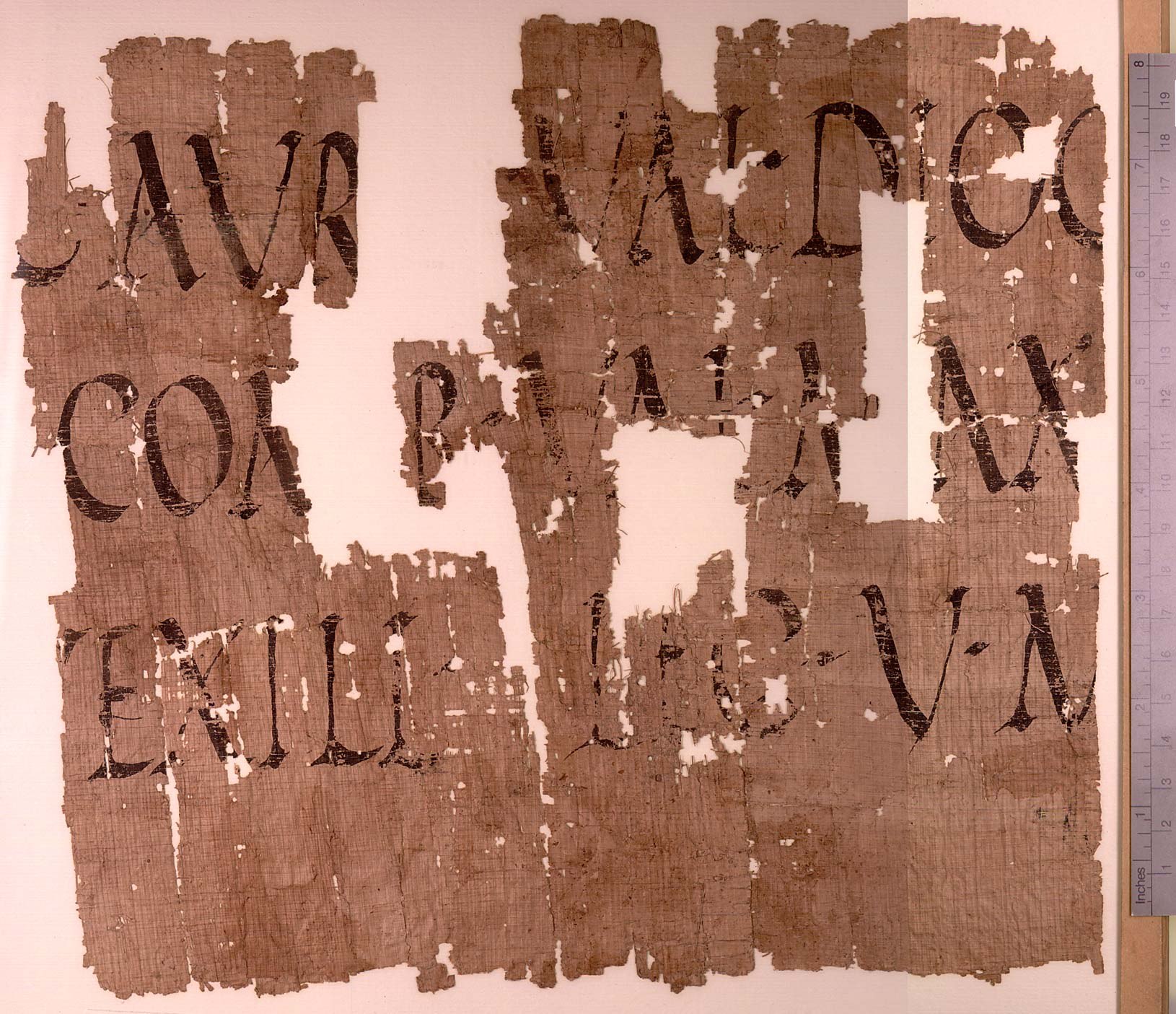 Фрагмент папируса из Египта с упоминанием вексилляции Legio V Macedonica.