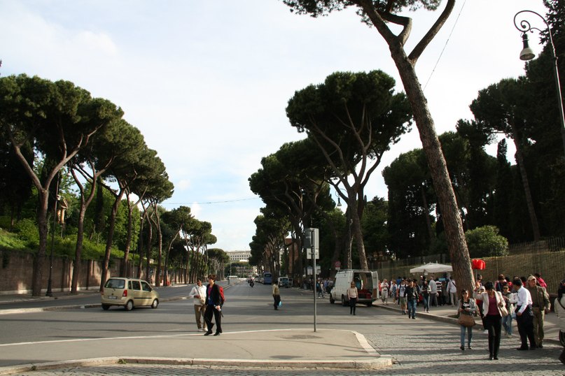 Поездка в Рим. Дорога, прогулка вокруг форума и театра Флавия.