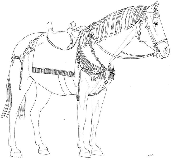 Недавняя находка лошади в Помпеях.