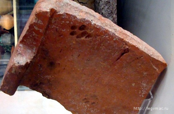 The paw print is thought to have been made in about AD100 [Credit: Gloucester City Museum]