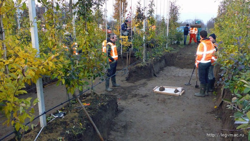 Раскопки на территории садового участка в Линдене. Фото с сайта volkskrant.nl