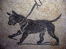 Древний Рим мозаика собака