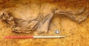 The excavated burial of Offord Cluny 203645. DNA has revealed he was a Sarmatian immigrant to Britain. Source: MOLA Headland Industry