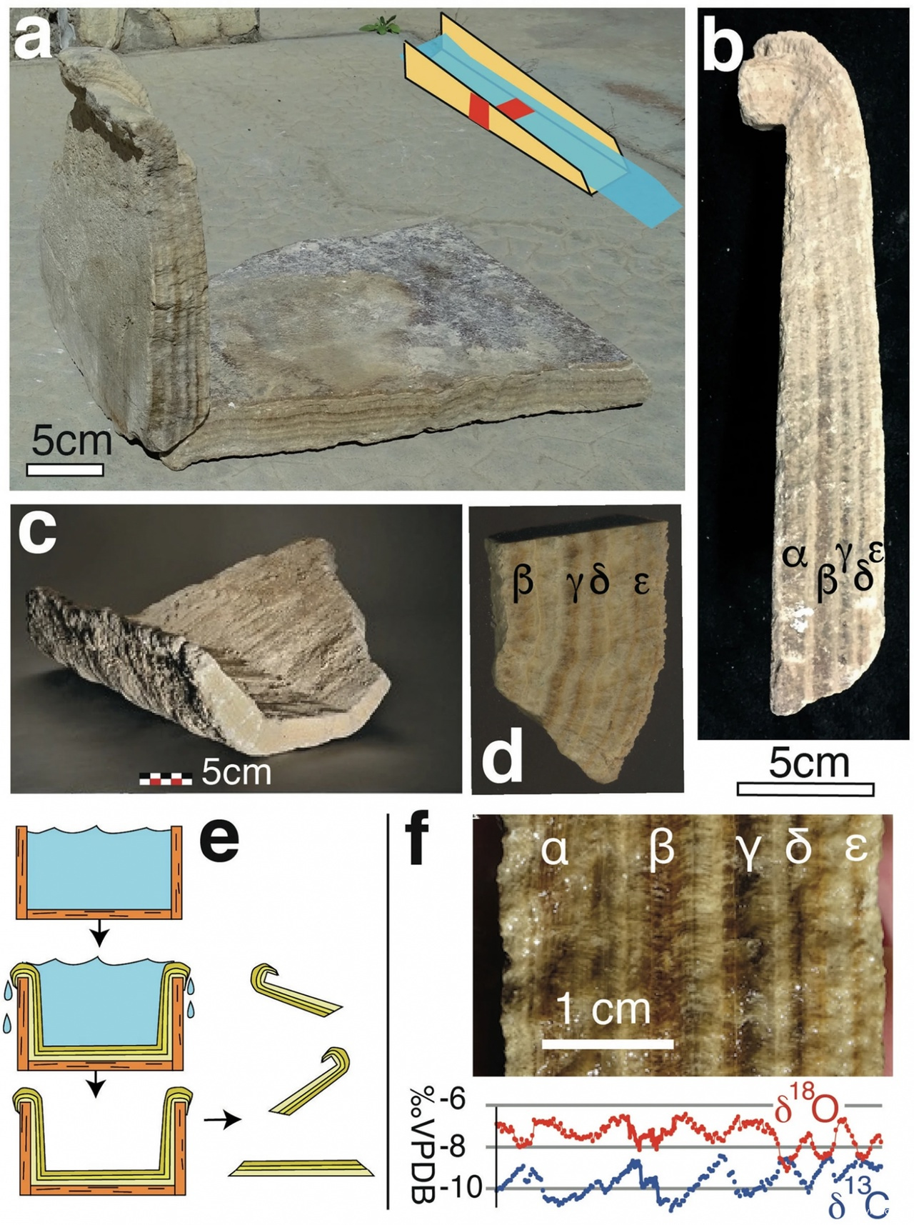 Фрагменты карбонатных корок: а), b) из деревянных желобов, c) из ковша водяного колеса, d) стратиграфия одного из фрагментов, e) реконструкция расположения корок в переполнявшемся желобе, f) стратиграфия одного из фрагментов и соответствующий профиль стабильных изотопов C и O, отражающий 7 лет использования желоба. Начинается и заканчивается зимой.
